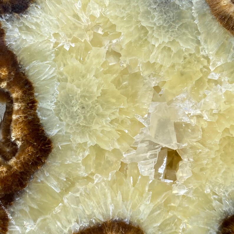 septarian nodule septarian stone brown aragonite Septarian Semi Polished Slab barite yellow calcite polished septarian limestone