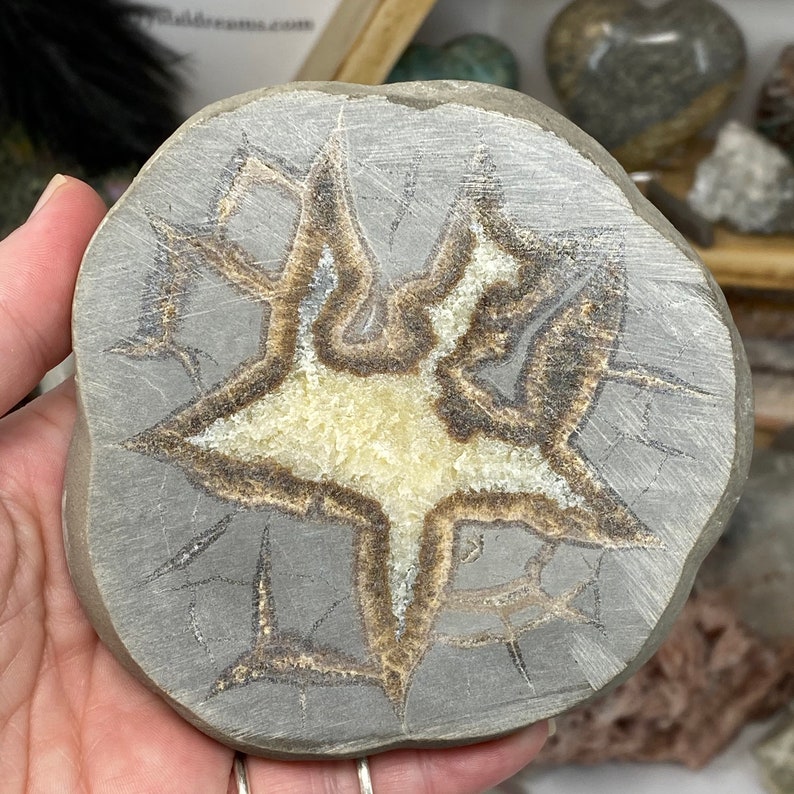 septarian nodule septarian stone brown aragonite Septarian Semi Polished Slab barite yellow calcite polished septarian limestone