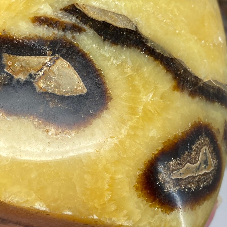 barite brown aragonite septarian Septarian Freeform freeform yellow calcite septarian nodule limestone septarian stone Home Décor Home & Living efp.osteology.org