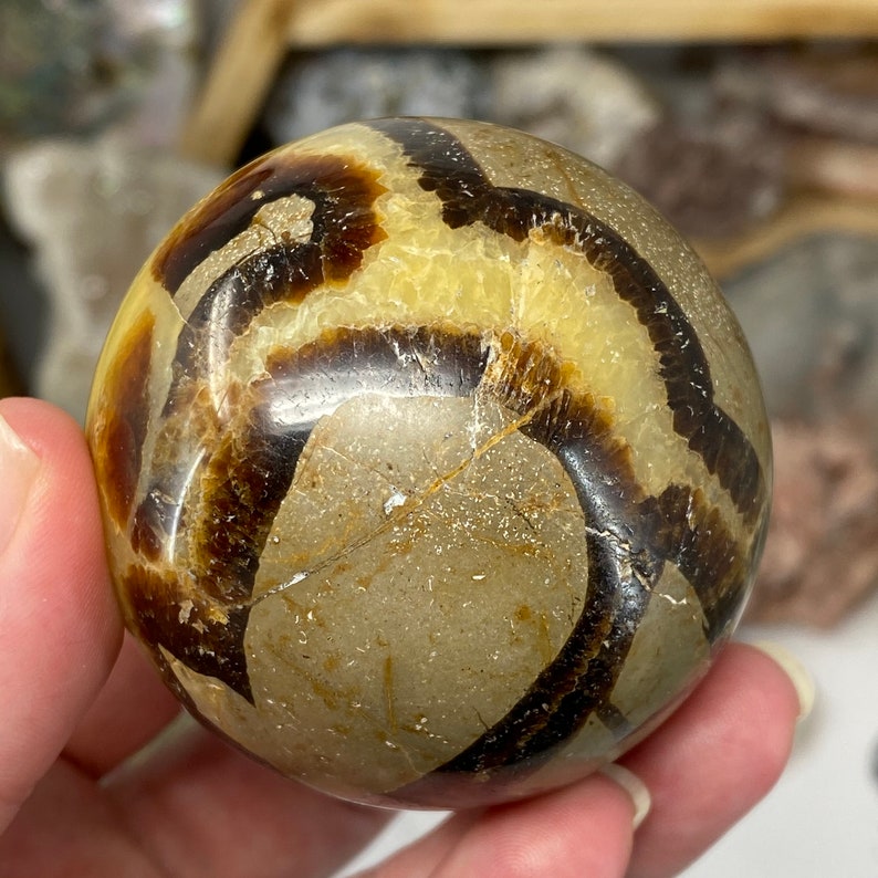 septarian yellow calcite septarian nodule Septarian 57mm Sphere limestone septarian sphere crystal sphere barite brown aragonite