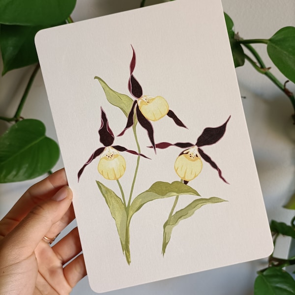 Illustration florale, peinture de fleur à la gouache