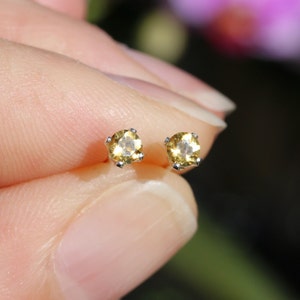 May include: A pair of small, round, yellow gemstone earrings with silver settings.