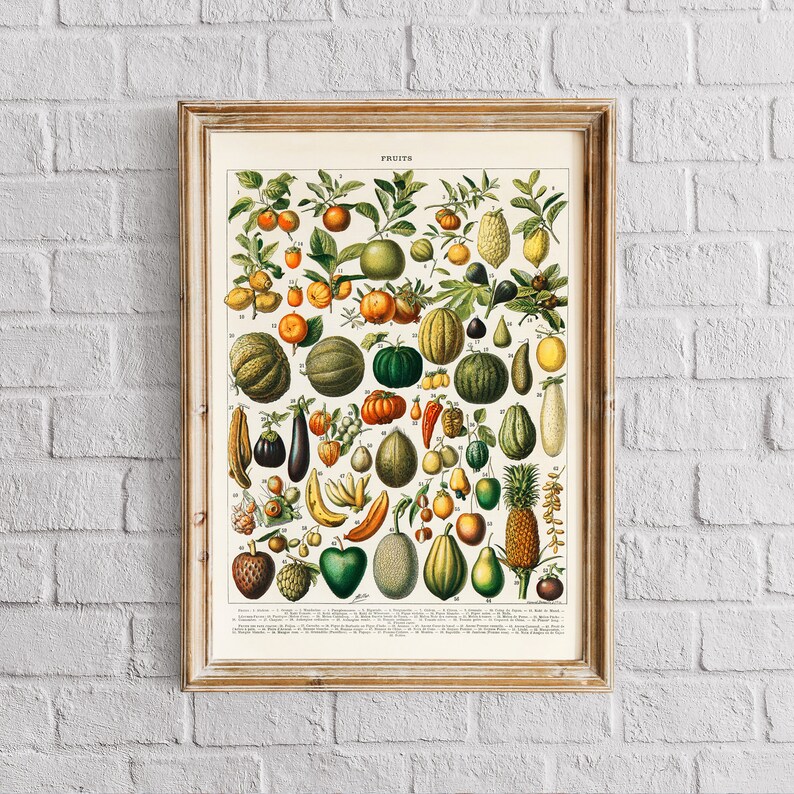 Fruits Wall Art Watercolor Fruit Art Fruit Print Botanical Etsy