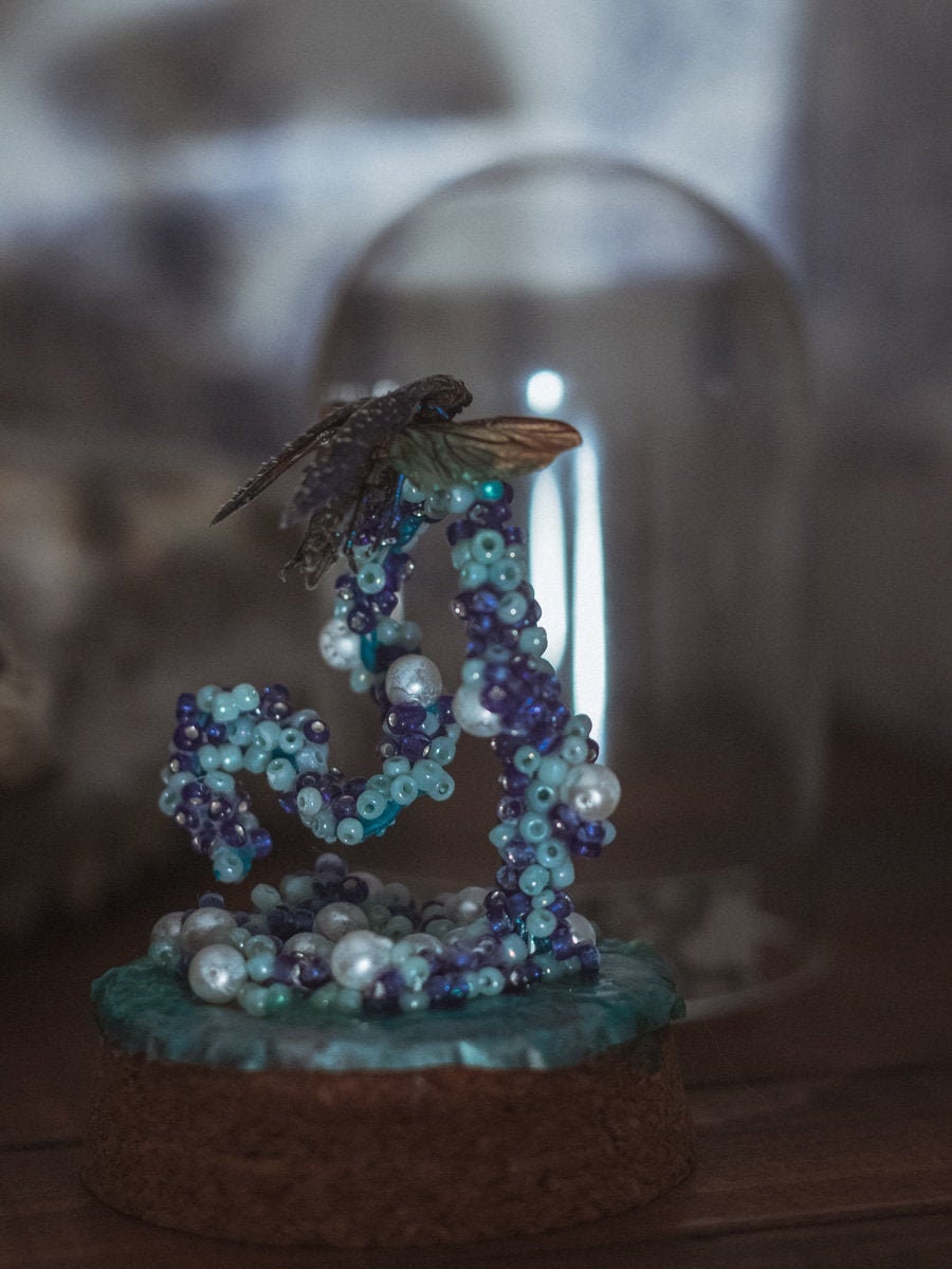 Polybothris Sumptuosa Gema