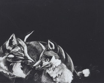 FOX PRINT - Fine Art Print - Mezzotint - Francis Allwood Original Print