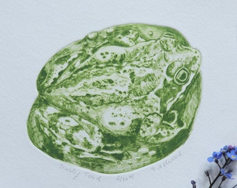 FROG ART - drypoint print, toad art, original print, handprinted gift