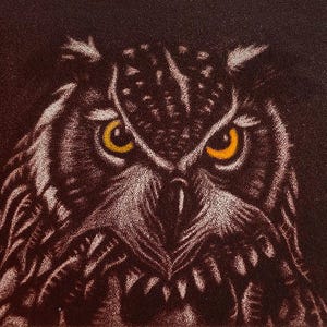 May include: Detailed illustration of an owl with brown and white plumage and striking yellow eyes. The background is a deep brown. The owl's intense gaze is the focal point, creating a sense of focus and attention.