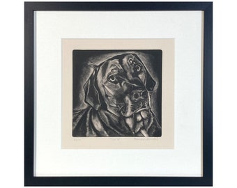 DOG PRINT - "Kilo", mezzotint, Rhodesian Ridgeback, handprinted, UK artist, limited etition, work on paper