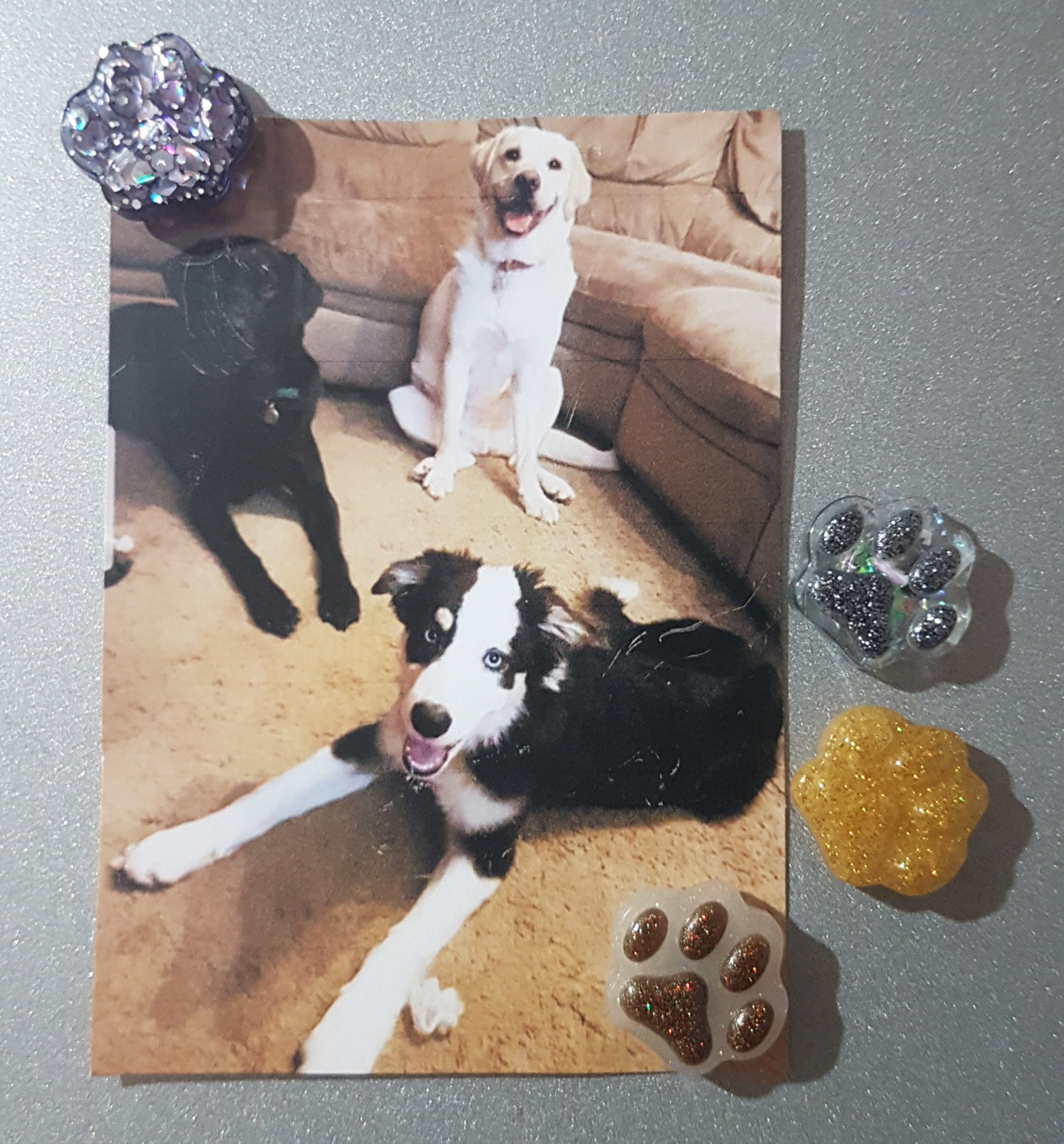 Set of 4 Dog Dog Fridge Dog Office Etsy