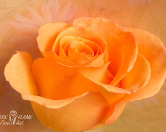 Flower Orange Rose VS Orange Print Premium 5x7 Blank Folded Card | Frameable Giclee Printed Photo Greeting Card | Gift for Special Occasions