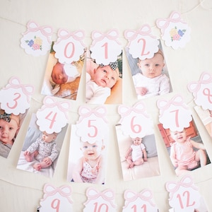 Baby Doll Party - Bow First Year Birthday Monthly Milestone Photo Banner Download 0102 1078
