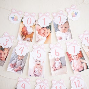 Baby Doll Party - Bow Eerstejaarsverjaardag Maandelijkse mijlpaal Fotobanner Download 0102 1078