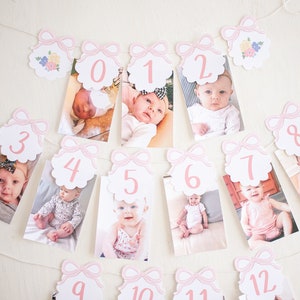 Baby Doll Party - Bow First Year Birthday Monthly Milestone Photo Banner Download 0102 1078