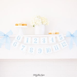 Watercolor Light Blue First Year Monthly Milestone Photo Banner | Printable Download | First Birthday Monthly Banner for Boy | 3000 3002
