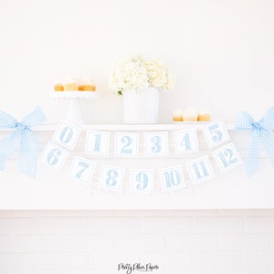 Watercolor Light Blue Monthly Milestone Photo Banner | Printable 3003 3004 3005 3006 3007 3008 3009 3010 3011 3012 3013 3014 3015 3016 1058