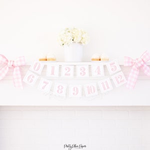 Watercolor Pink First Year Monthly Milestone Photo Banner | Printable Download | First Birthday Monthly Banner for Girl | 5000 5001