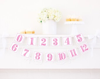 May include: Pink and white banner with numbers 0-12, perfect for a baby shower or birthday party.