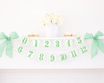 Watercolor Green First Year Monthly Milestone Photo Banner | Printable Download | First Birthday Monthly Banner for Boy | 6000 6001