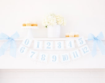 Watercolor Light Blue First Year Monthly Milestone Photo Banner | Printable Download | First Birthday Monthly Banner for Boy | 3000 3002