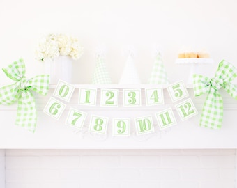 Watercolor Light Green First Year Monthly Milestone Photo Banner | Printable Download | First Birthday Monthly Banner for Boy | 7000