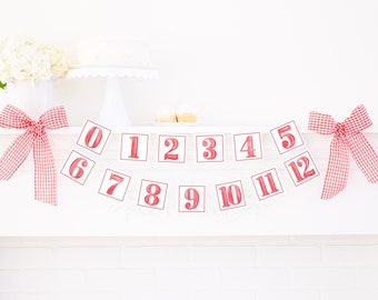 Watercolor Red First Year Monthly Milestone Photo Banner | Printable Download | First Birthday Monthly Banner for Girl | 9000