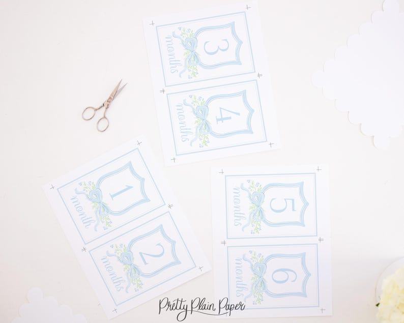 Monthly Milestone Cards | 5x7 | Watercolor Blue Crest & Bow | My First ...