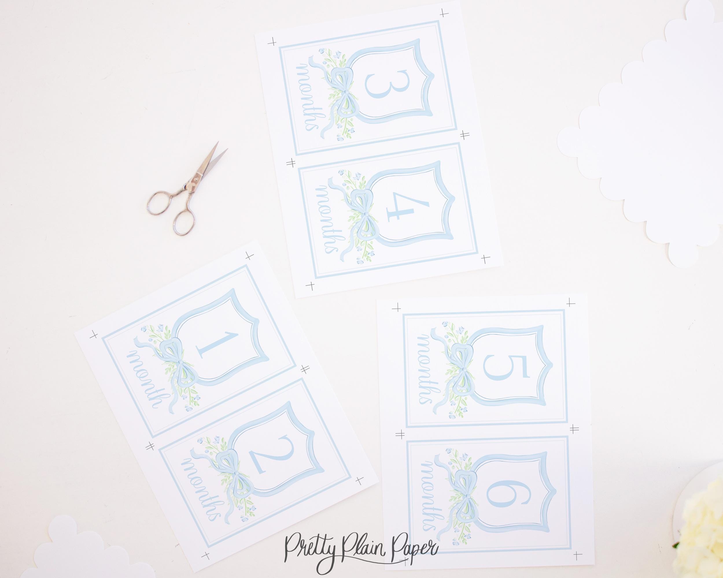 Monthly Milestone Cards | 5x7 | Watercolor Blue Crest & Bow | My First ...