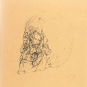 Alberto Giacometti - CRANIO