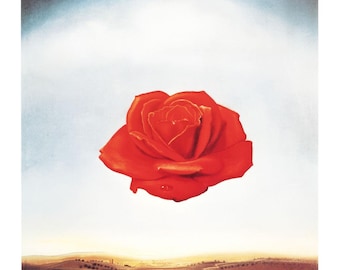 Salvador Dali - Meditative roses