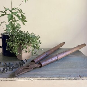 Rusty hedge trimmers top