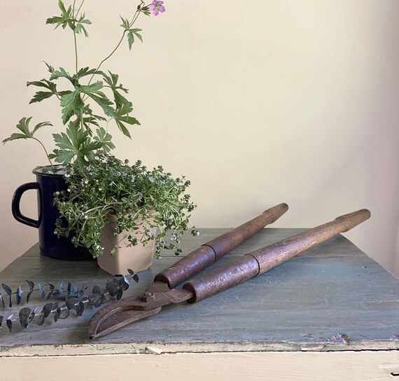 Rusty Garden Shears, Rustic Shears, Old Grass Clippers, Vintage