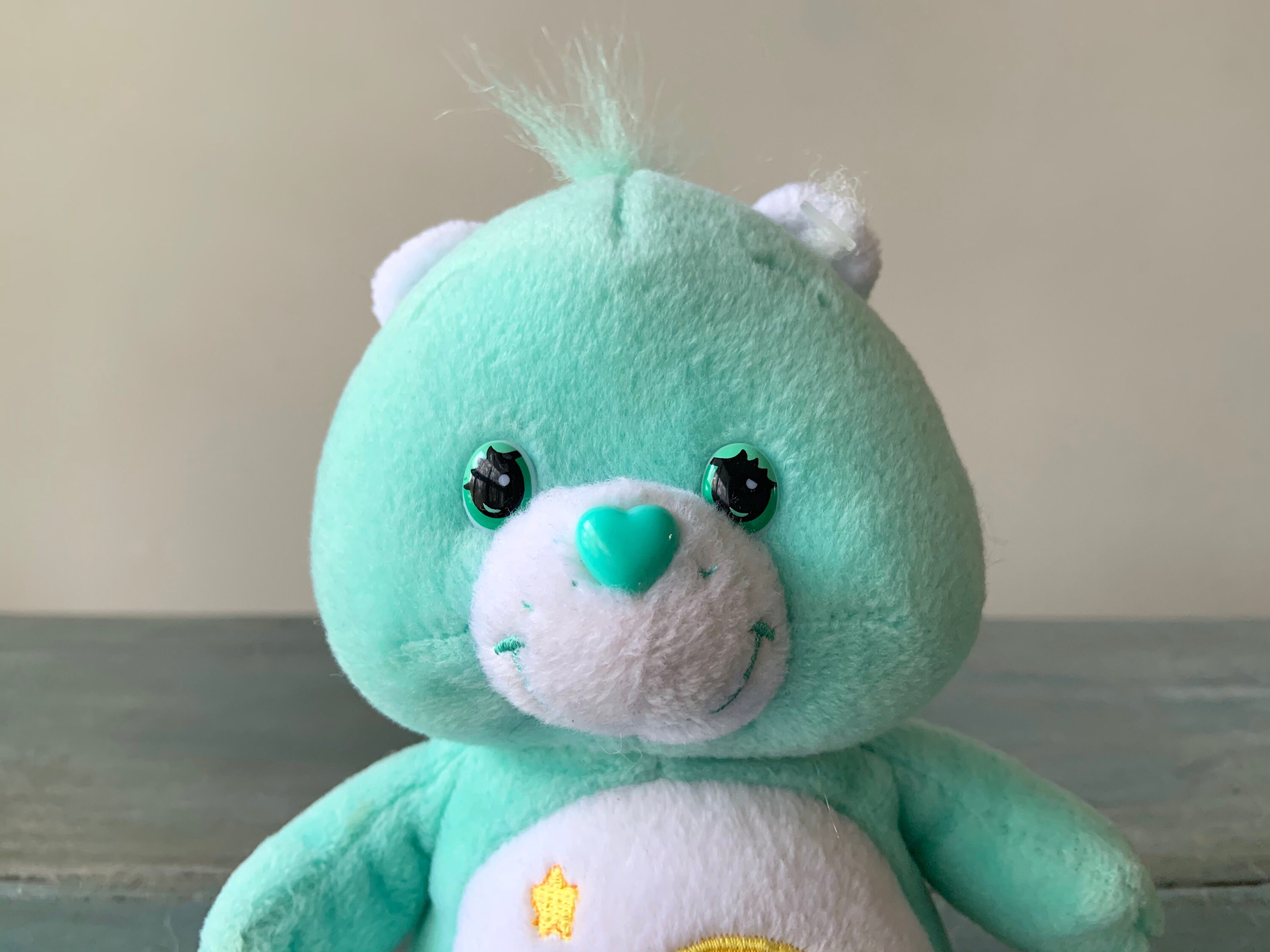 teddy bear cushion cover