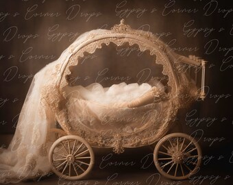 Newborn, Digital Backdrop, Digital Background, baby, Girl, carriage, floral, victorian, princess, fairytale, storybook