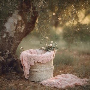 Newborn, Digital Backdrop, Digital Background, baby, girl, Floral, pink, Lace, Basket, bucket