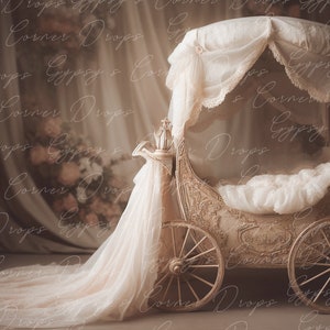 Newborn, Digital Backdrop, Digital Background, baby, Girl, carriage, floral, victorian, princess, fairytale, storybook
