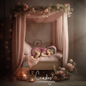 May include: A pink and white canopy bed with a sleeping baby wearing a pink knitted outfit. The bed is decorated with pink flowers and greenery. The image includes the text "Cindy" and "cindyharterphotography".