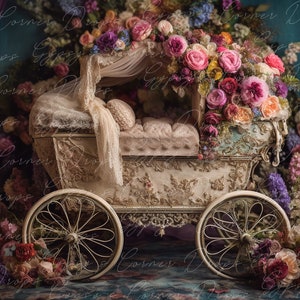 Neugeborene, Digitaler Hintergrund, Digitaler Hintergrund, Baby, Mädchen, Kutsche, Blumen, viktorianisch, Prinzessin, Märchen, Märchenbuch