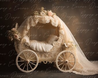 Newborn, Digital Backdrop, Digital Background, baby, Girl, carriage, floral, victorian, princess, fairytale, storybook