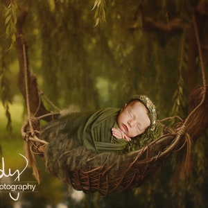 Newborn, Digital Backdrop, Digital Background, Willow, tree, green, swing, nest