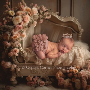 Newborn, Digital Backdrop, Digital Background, baby, girl, bed, flowers, fairytale, wicker, romantic, lace, cream, storybook