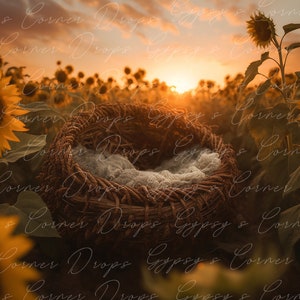 May include: A woven basket with a white fabric lining sits in a field of sunflowers at sunset. The sunflowers are in bloom and the sun is setting behind them, creating a warm glow.