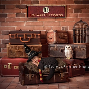 Peut inclure: Un bébé habillé en sorcier dort dans une valise brune avec une écharpe brune et dorée. La valise est entourée d'autres valises et d'une cage à oiseaux avec un hibou blanc perché sur une valise.