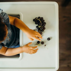 Peut inclure: Vue aérienne des mains d'un enfant atteignant une grappe de raisins violets foncés sur un plateau vert clair. Quelques raisins individuels sont éparpillés. L'enfant porte une chemise bleue.