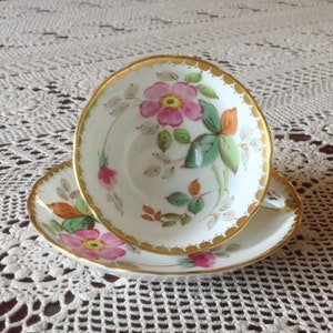 Lovely wild rose, hand painted wide mouth cup and saucer, Tuscon fine bone china