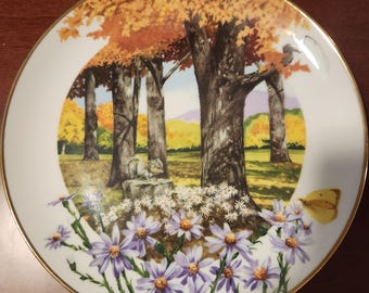 Royal Windsor "Frost Aster" Wildflowers of the South Collectable Plate