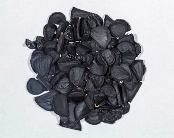 Yucca brevifolia &#39;Oregon&#39; (Joshua Tree) HARDY Seeds