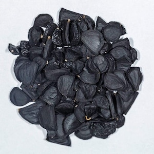 Yucca brevifolia 'Jaegeriana' (Compact Joshua Tree) SEEDS - COLD HARDY zone 5!