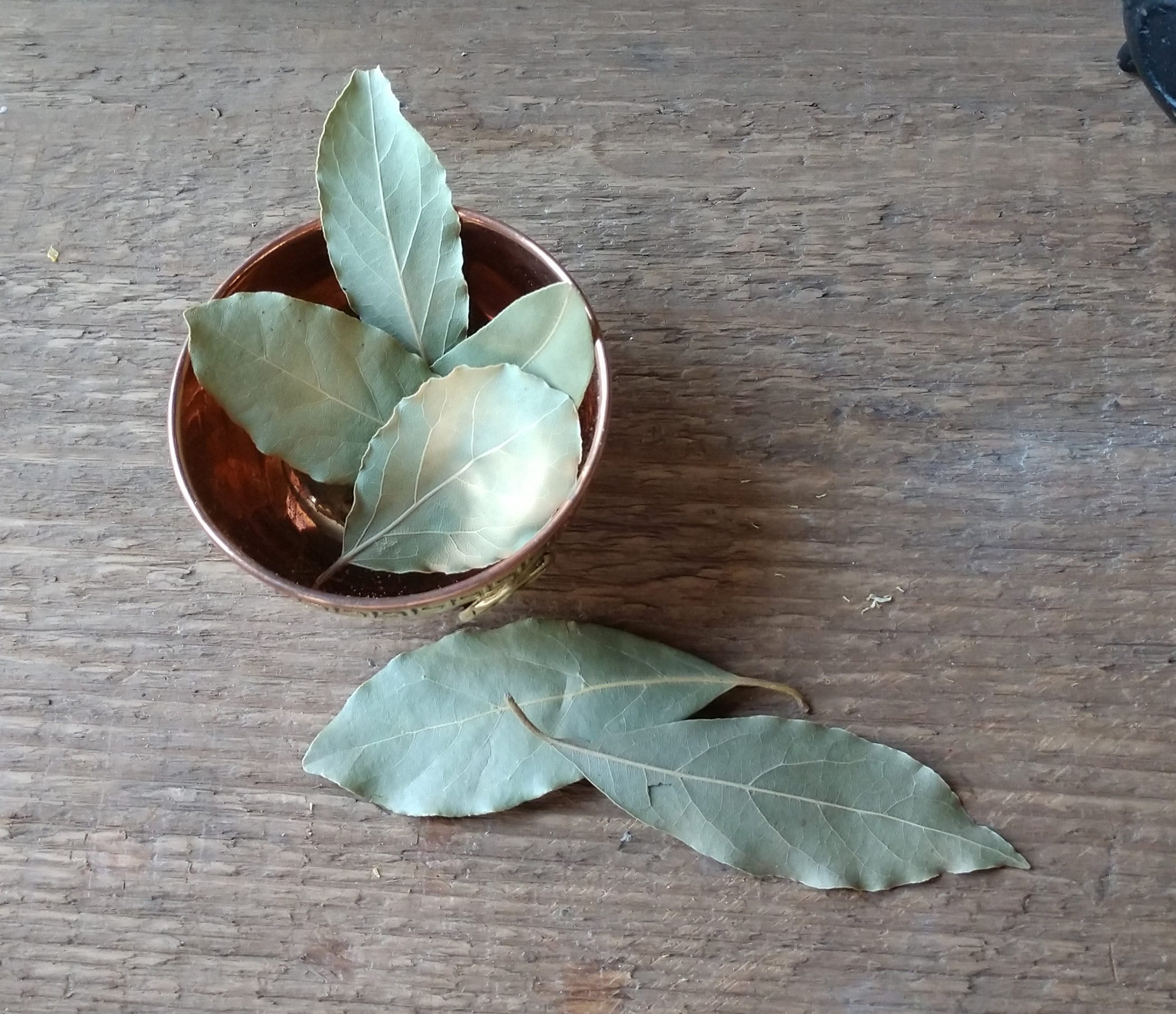 Bay Leaf for Magic Bay Leaf for Luck Bay for Money Etsy
