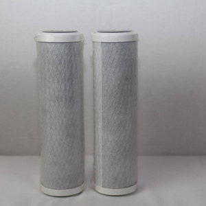 watts premier water filter set of 2