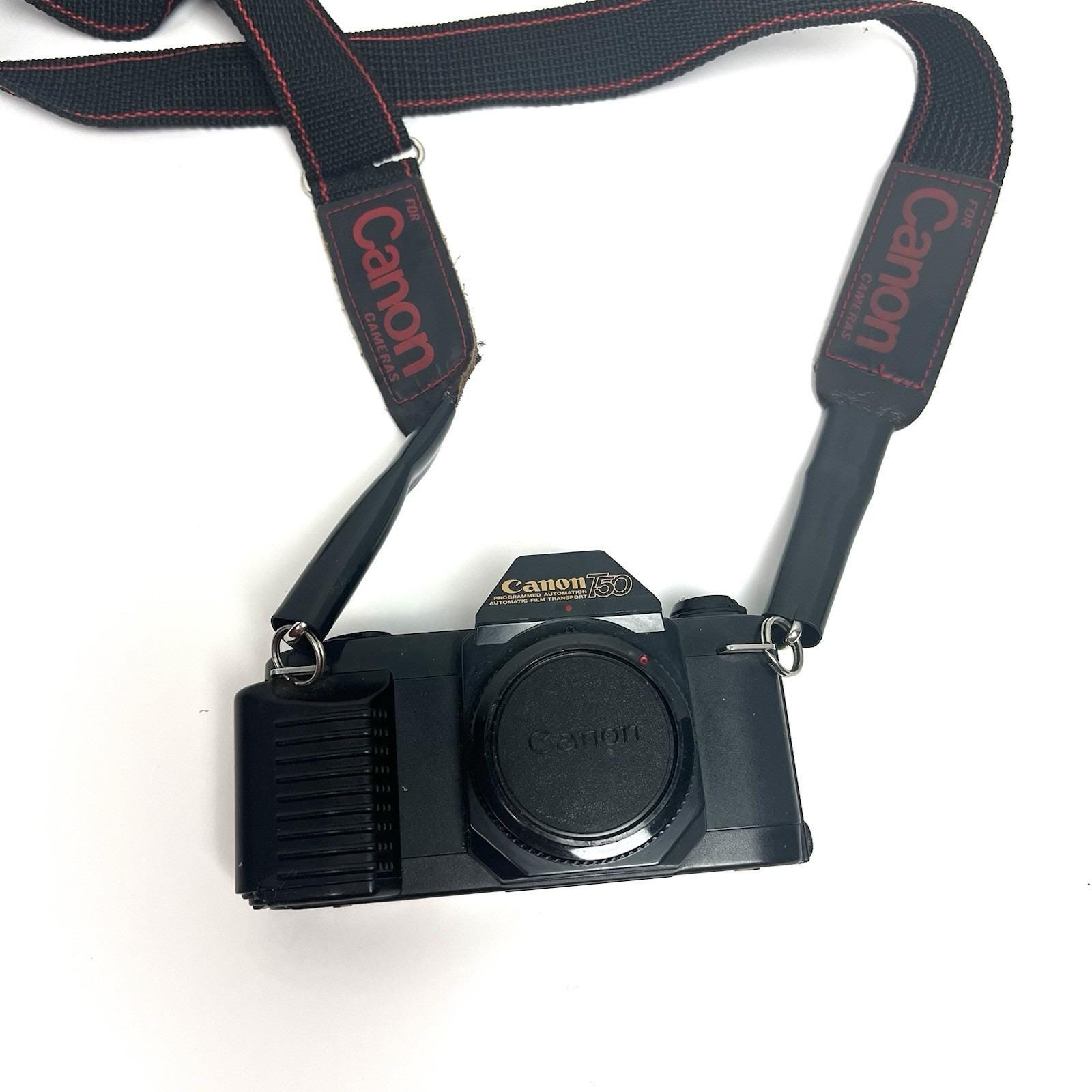 Canon t50 - Etsy 日本